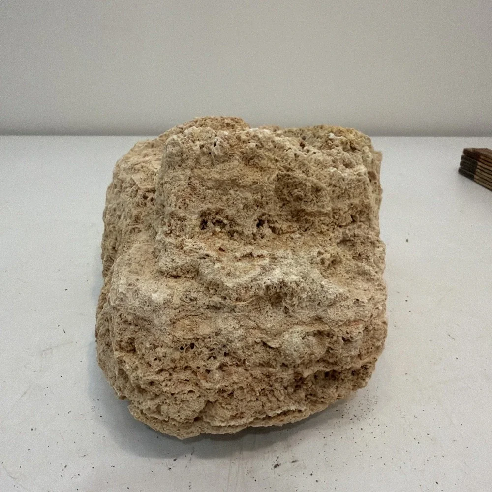 CORAL 8